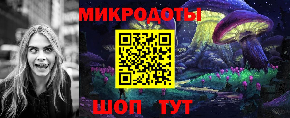 Псилоцибиновые грибы Psilocybe Кызыл